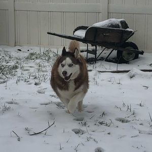 Meet your Posher, Erin